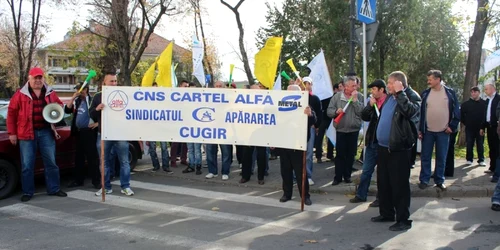 protest alba