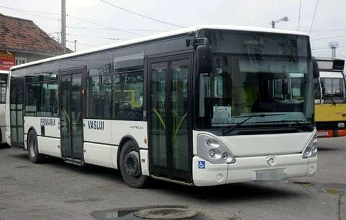 bus
