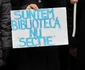 protest biblioteca pedagogica nationala marina stan 9