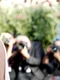 Natalie Portman  foto   Shutterstock jpg