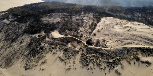 incendiu de padure franta iulie 2022 foto epa efe