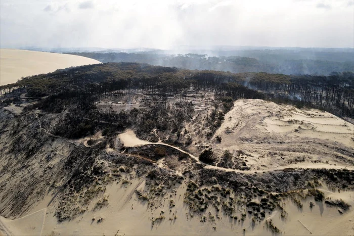 Mii de hectare de pădure au fost distruse de flăcări Foto EPA EFE