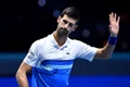 djokovic saluta jpg