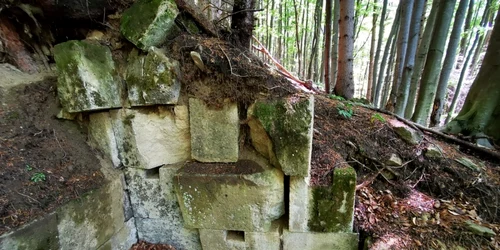 fetele albe foto daniel guta adevarul