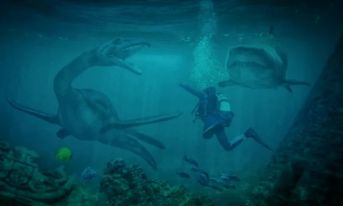 dive 4347331 1280 1024x551 webp