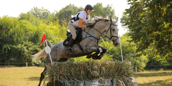 KARPATIA HORSE SHOW