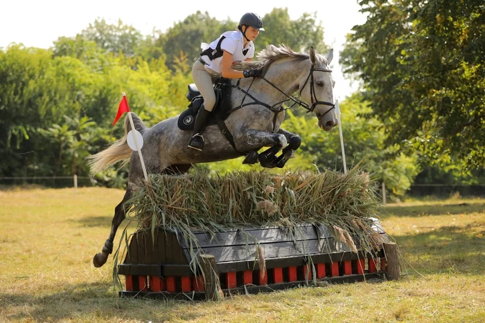 KARPATIA HORSE SHOW