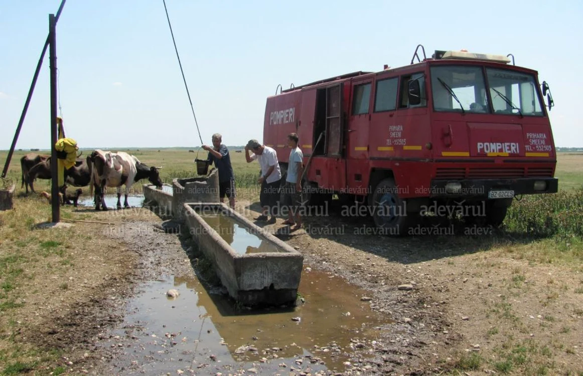 Arhivă