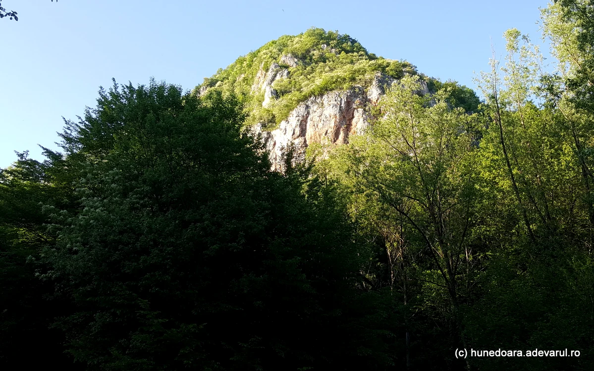 Muntele Piatra Roșie. Foto: Daniel Guță. ADEVĂRUL