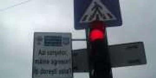 timisoara placat