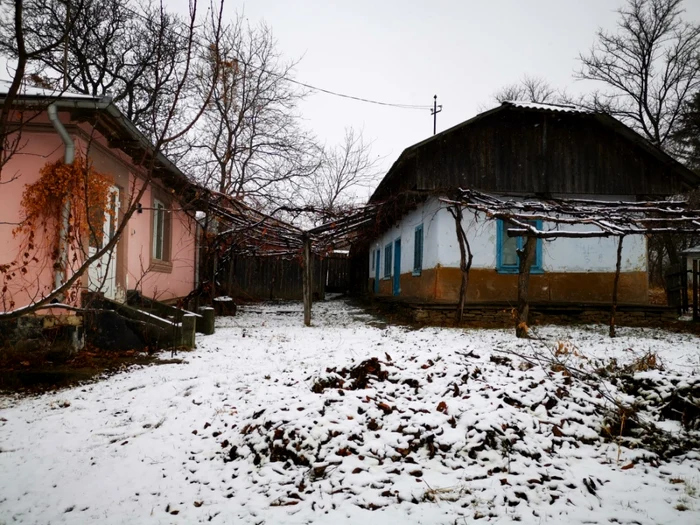 gospodaria familiei Vitcu de la Ibăneşti