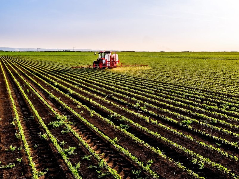Ce se întâmplă cu nutrienții după recoltă? Circuitul eficient care îi întoarce în sol