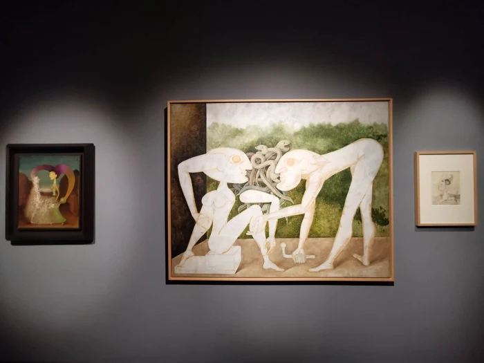 Expoziția Victor Brauner la Timișoara FOTO Ștefan Both