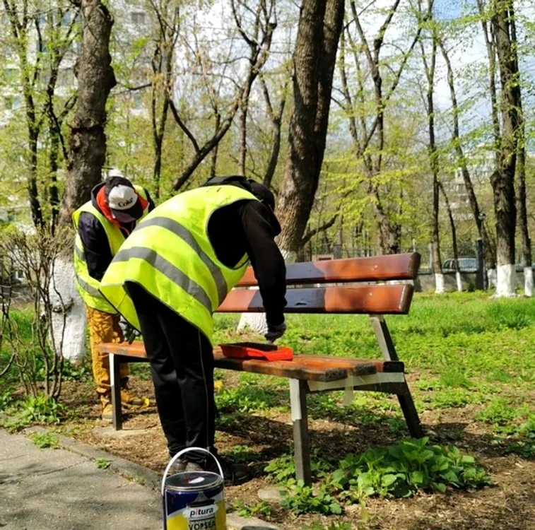 
    Gazonul de la Liceul ”Eugen Lovinescu” a fost tuns  