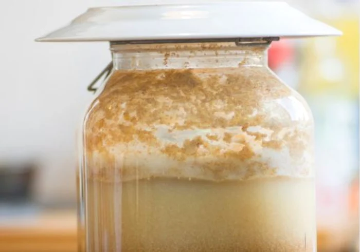 
    Procesul de fermentarefoto: Shutterstock  