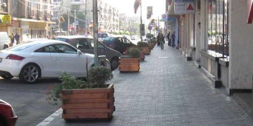 Arbuştii ornamentali vor fi mutaţi în faşa Muzeului Judeţean