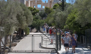 acropola profimedia jpg