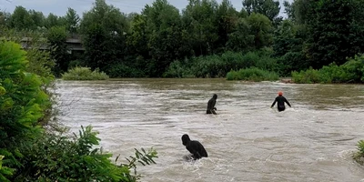 isu cautari FOTO ISU dambovita jpg