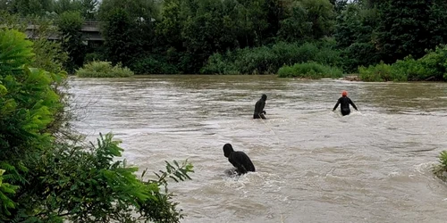 isu cautari FOTO ISU dambovita jpg