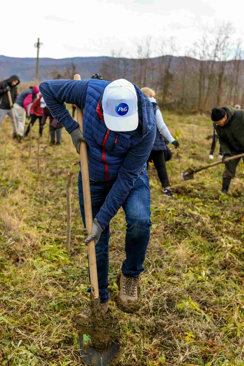 Comunicat de presa plantare puieti 22 11 2024 jpg