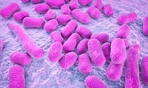 Ce este acinetobacter jpeg
