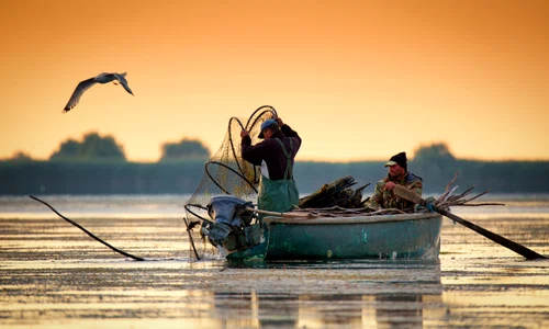 pescuit delta dunarii rasarit shutterstock 678902491 jpg