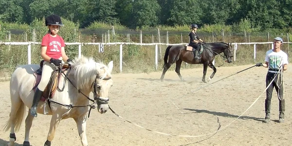 Zeci de sătmăreni  fac cursuri de călărie