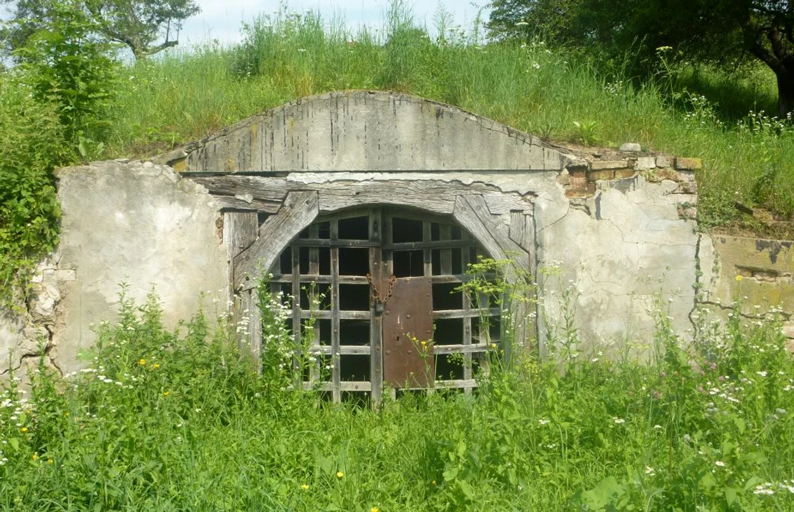 gorun vorona