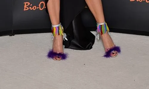 incaltari dana savuica jpeg