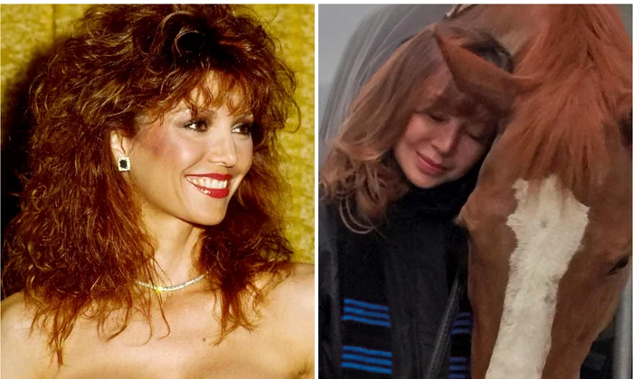 FotoJet Victoria Principal jpg