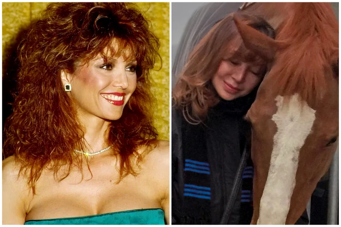 FotoJet Victoria Principal jpg