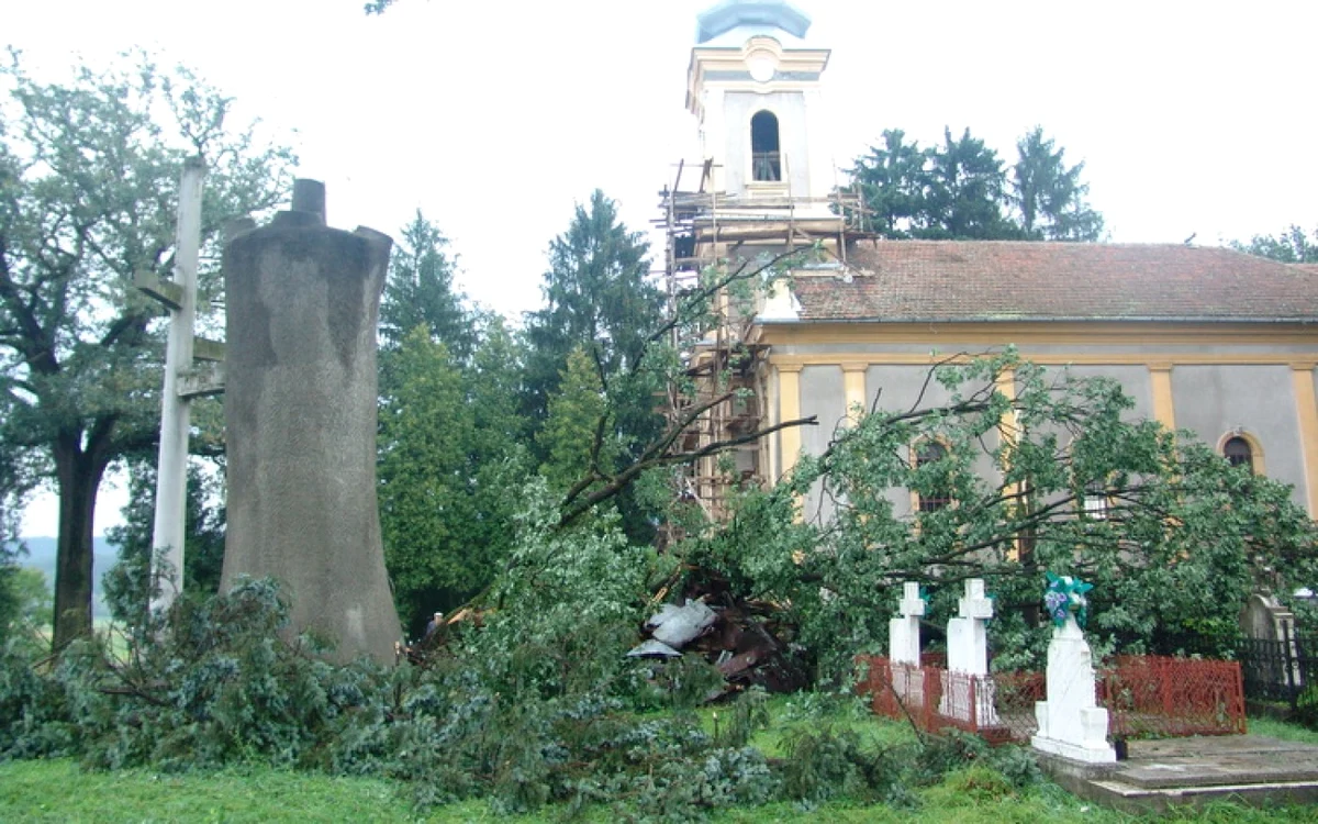 gorunul in 2005 foto traian manu