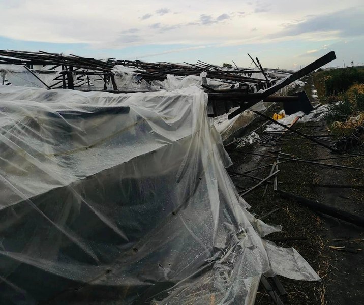 Viața după tornadă la Matca, cel mai mare bazin legumicol din țară: „Am salvat ce se putea, acum reparăm solariile”