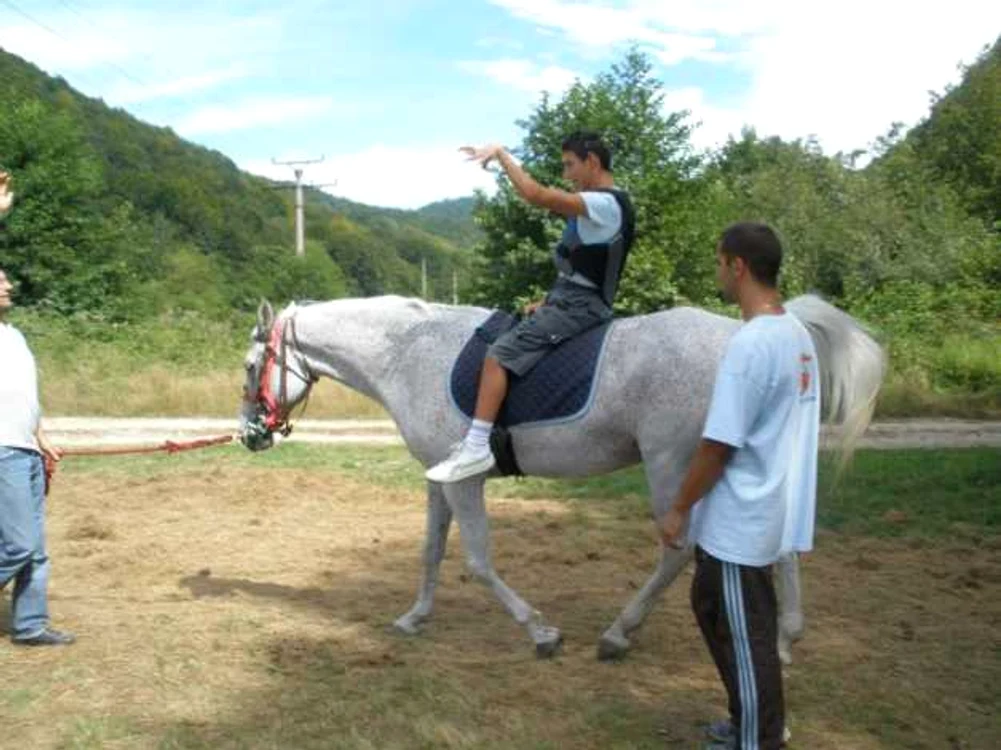 terapie prin calarie baia mare