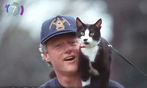 Negrutu la Casa Alba jpeg