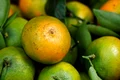tangerine 8886641 1280 jpg