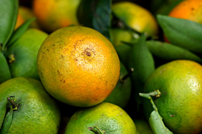 Mandarine verzi / foto: Pixabay