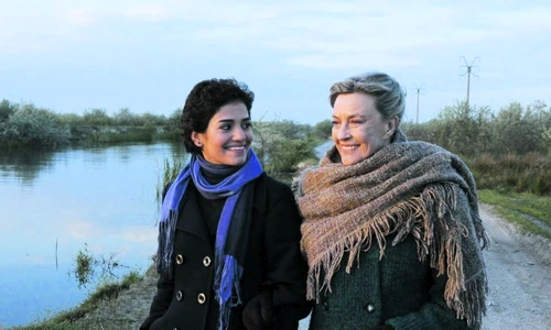 1 47692 original jpg jpeg