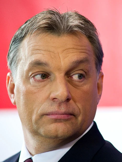 Taxa pe viaţa virtuală a murit – dar nu definitiv jpeg