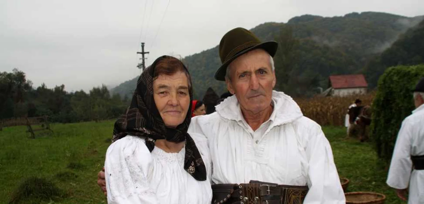 zamfira bistrita