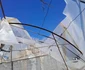 Vântul a făcut ravagii în Băleni. FOTO Vlad Pătrașcu