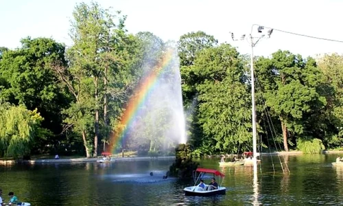 „Copacul cu cărţi“ din Cişmigiu îi invită pe bucureşteni la lectură jpeg