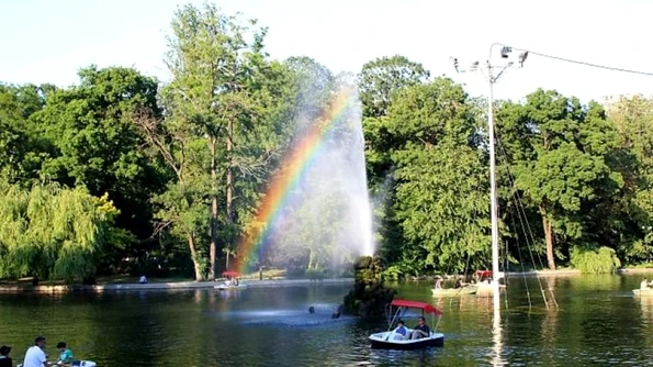 „Copacul cu cărţi“ din Cişmigiu îi invită pe bucureşteni la lectură jpeg
