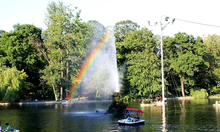 „Copacul cu cărţi“ din Cişmigiu îi invită pe bucureşteni la lectură jpeg