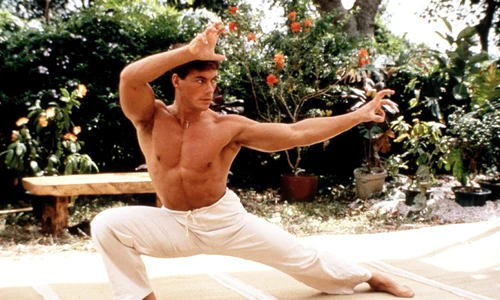 bloodsport 750065l jpeg