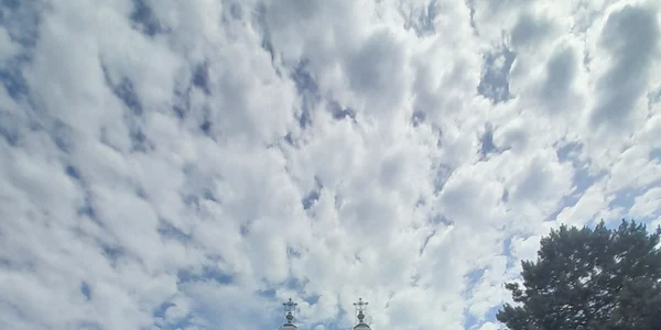 20230603 125542 jpg
