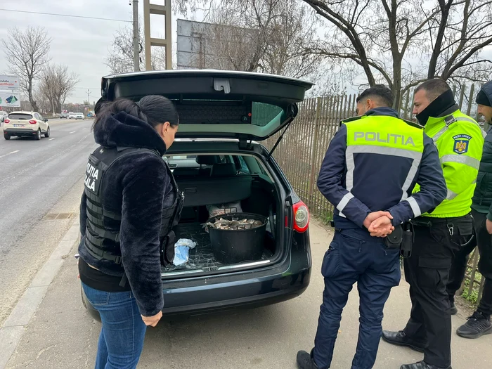 Peștele găsit în mașina infractorilor FOTO: Facebook/ Poliția Locală Sectorul 2