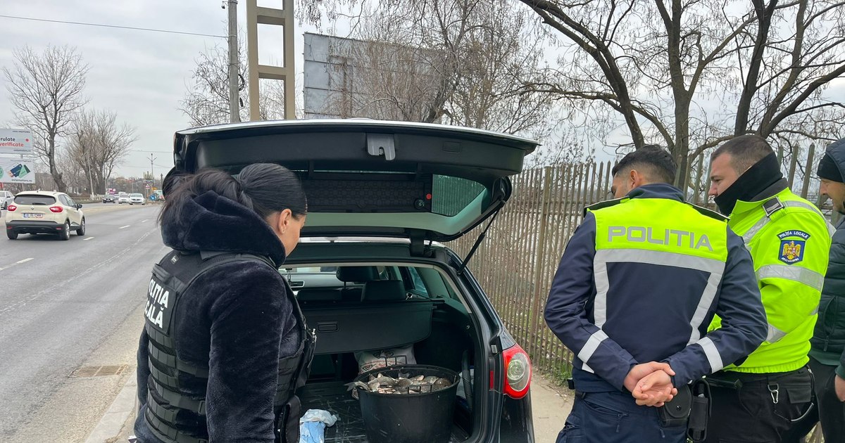 Cum a salvat Poliția Locală zeci de kilograme de pește din Lacul Pantelimon