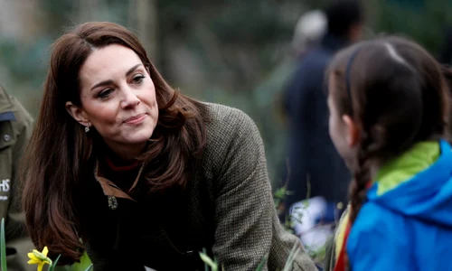 1 gettyimages 1083117754 jpg jpeg