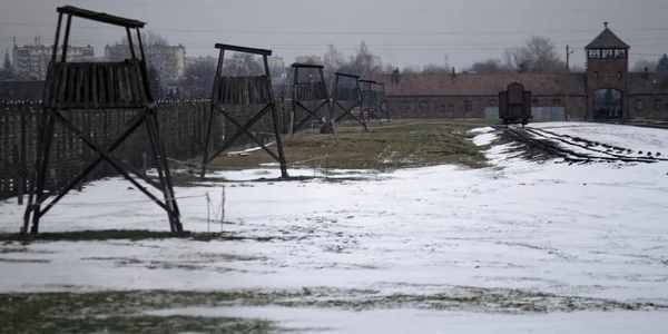 auschwitz 27 ianuarie 2019 foto epa efe